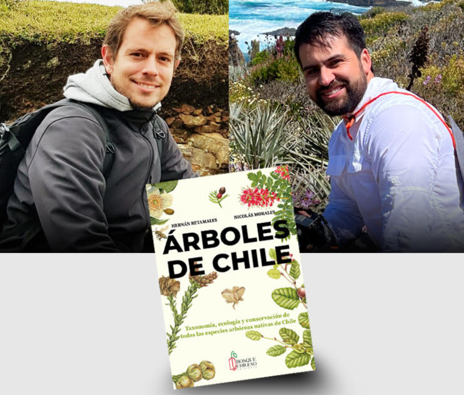 Lanzan el libro más grande sobre árboles de Chile con el registro de 120 especies nativas
