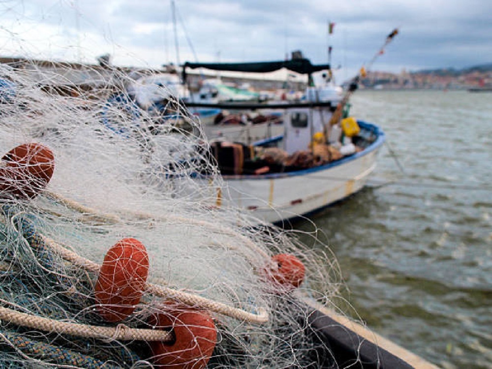 Investigación | La mafia de la merluza: intermediarios explotan la pesca en costas de Chile