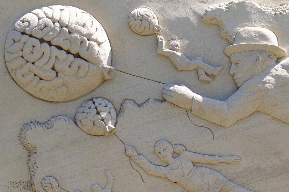  ¿Es posible rejuvenecer el cerebro?: Estudio internacional liderado por la Casa de Bello demuestra que si 