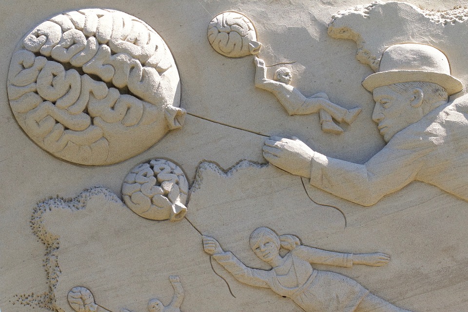 ¿Es posible rejuvenecer el cerebro?: Estudio internacional liderado por la Casa de Bello demuestra que si