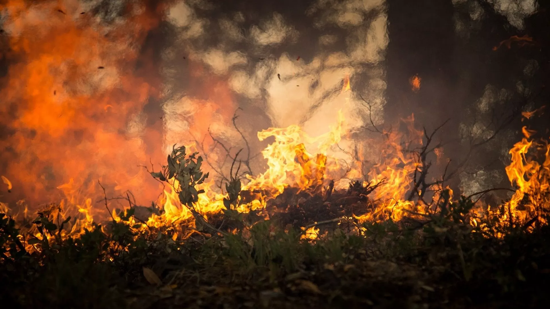  Un incendio ya quemó 7.500 hectáreas en la Patagonia argentina y sigue avanzando