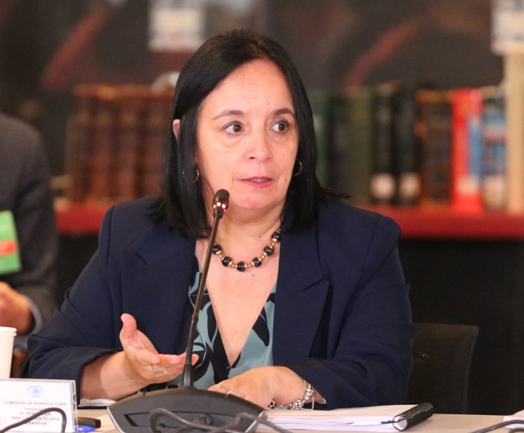 Senadora Carmen Gloria Aravena manifiesta una fuerte caída en indicador de confianza empresarial en la Araucania