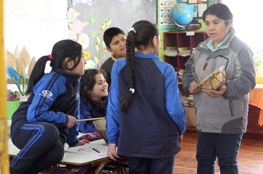 Universidades de Chile, del Bío-Bío y de La Frontera convocan a la Primera Escuela de Verano Indígena