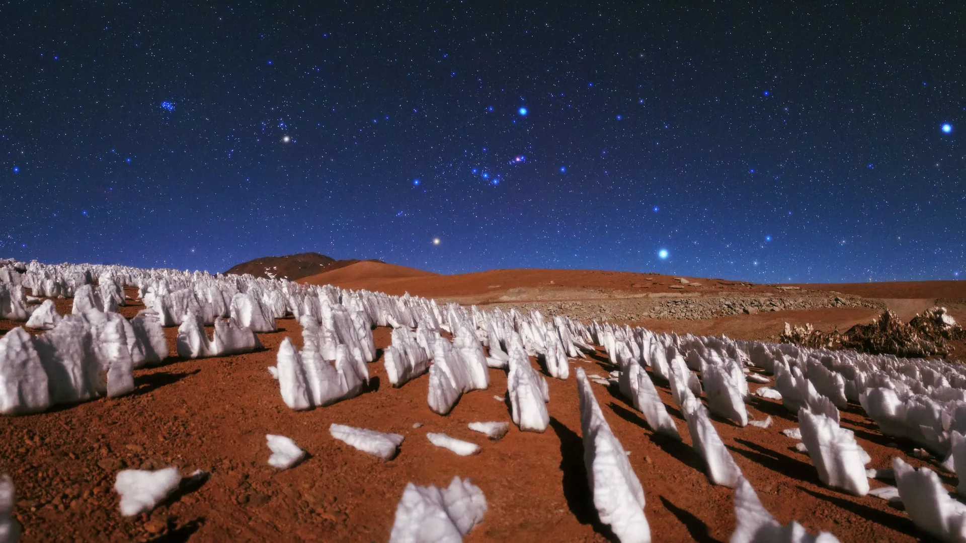  Hallan ADN de organismos «desconocidos para la ciencia» en el desierto de Atacama en Chile
