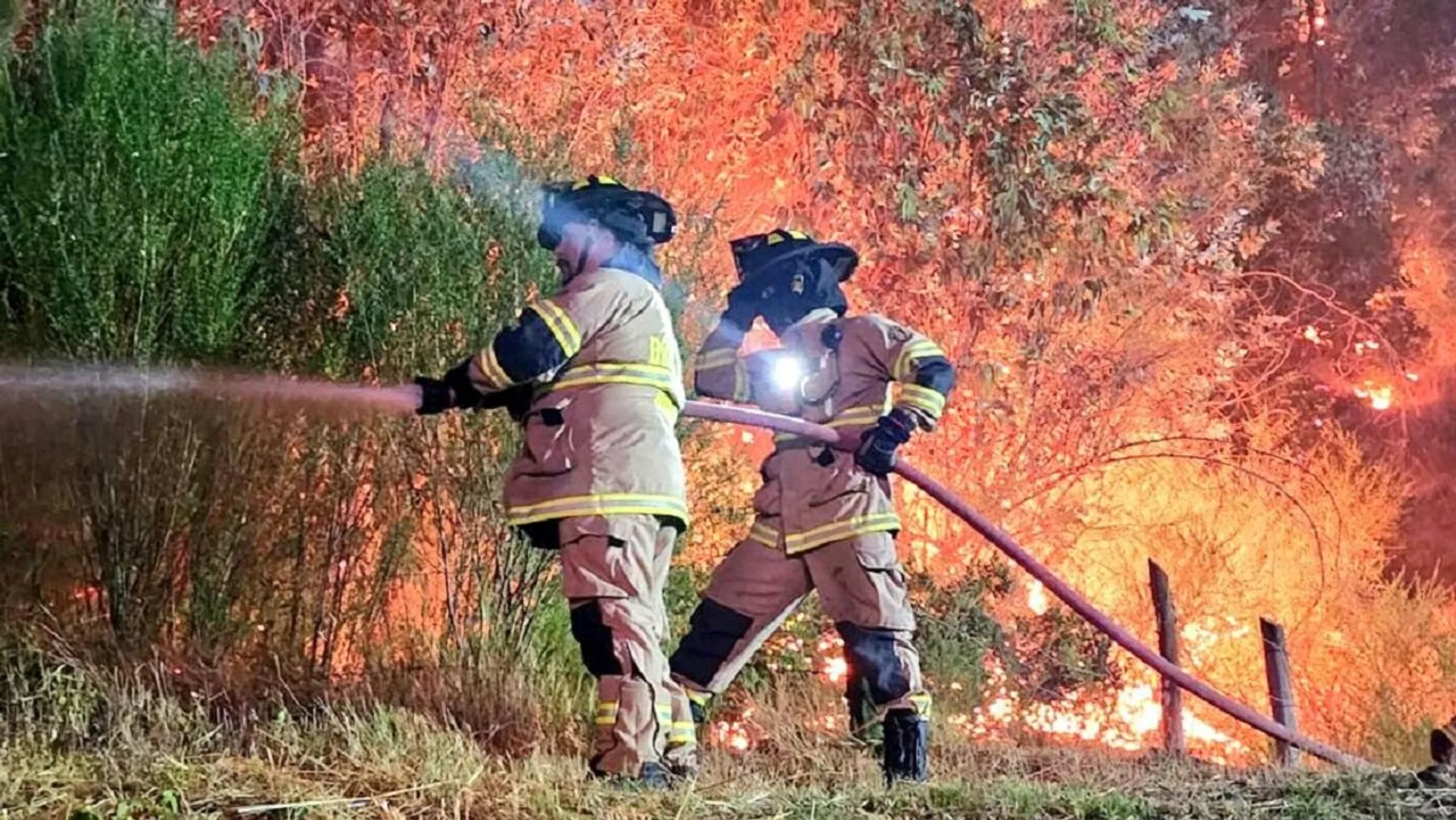 ¿Por qué Chile enfrenta duros incendios forestales?