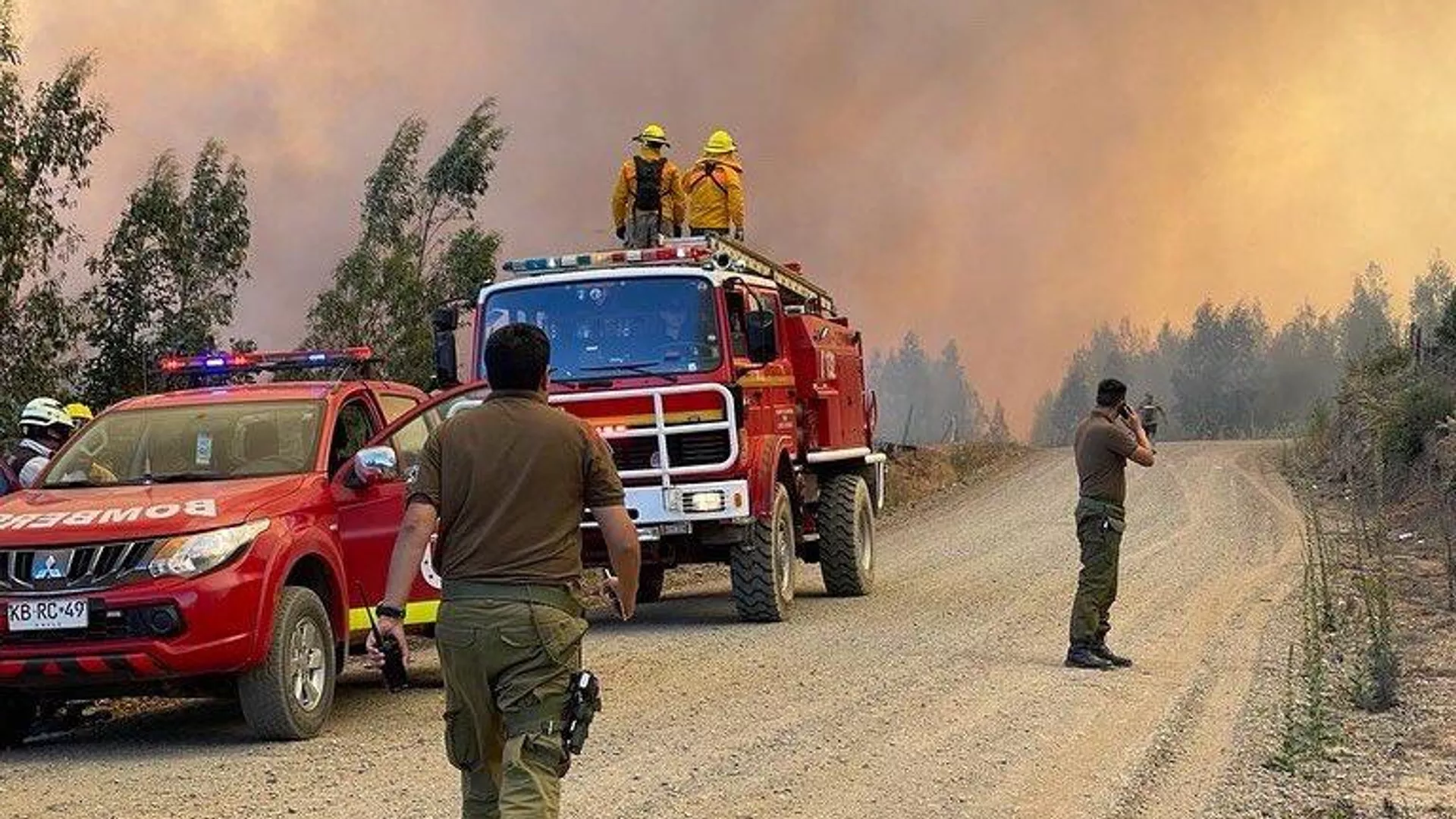 El modelo forestal desde Pinochet: la chispa detrás de los incendios en Chile