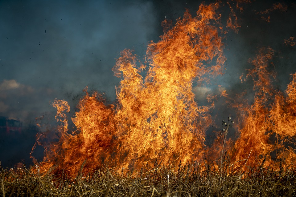 Corte Suprema confirma fallo que condenó a empresa eléctrica CGE Distribución S.A. por responsabilidad en incendio forestal