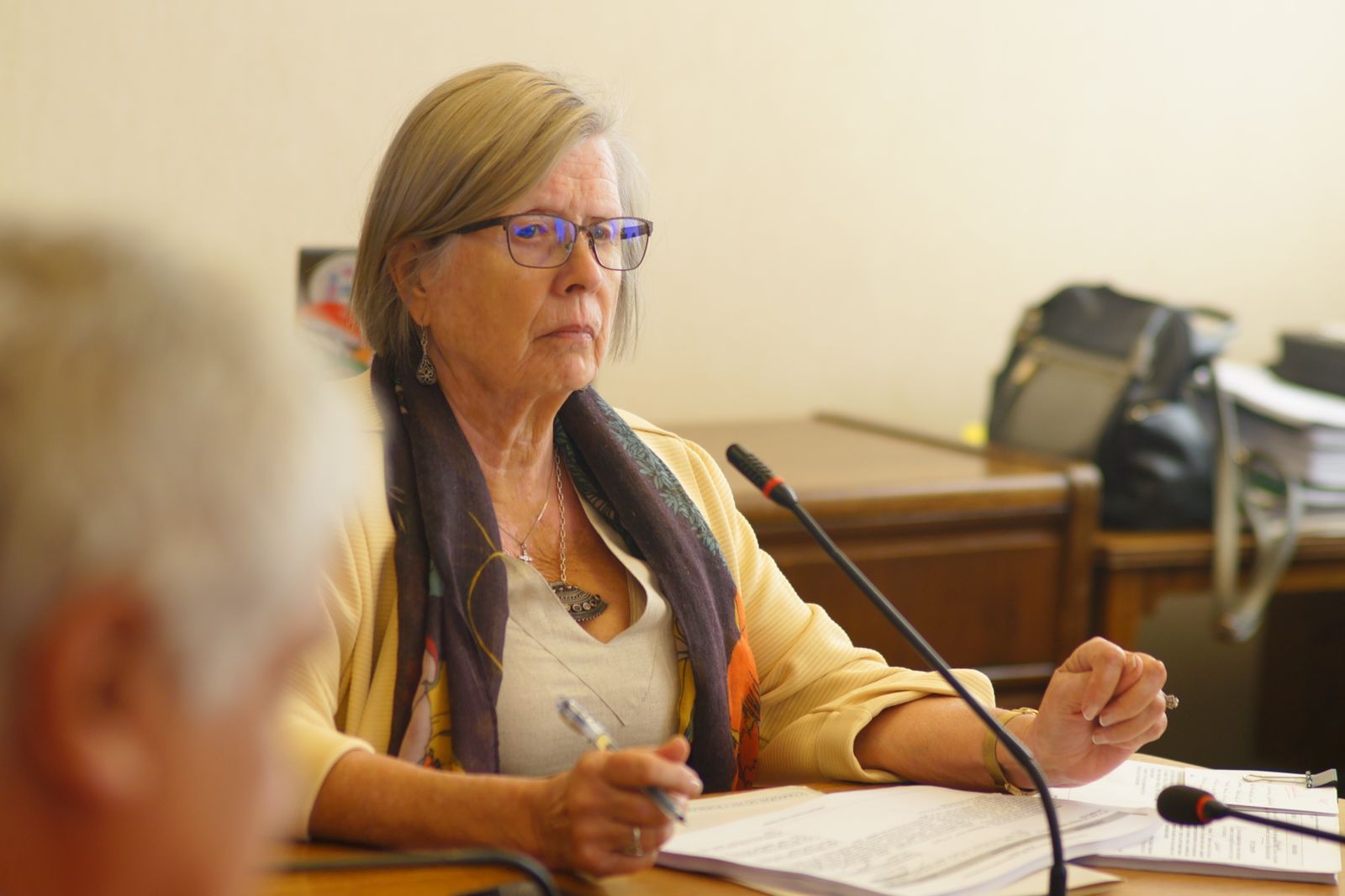 Diputada Bulnes destaca leyes aprobadas que avanzan en materia de seguridad en nuestro país