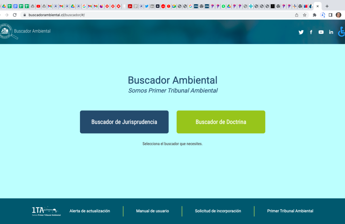 Primer Buscador Ambiental de Chile obtiene más de mil visitas en su lanzamiento