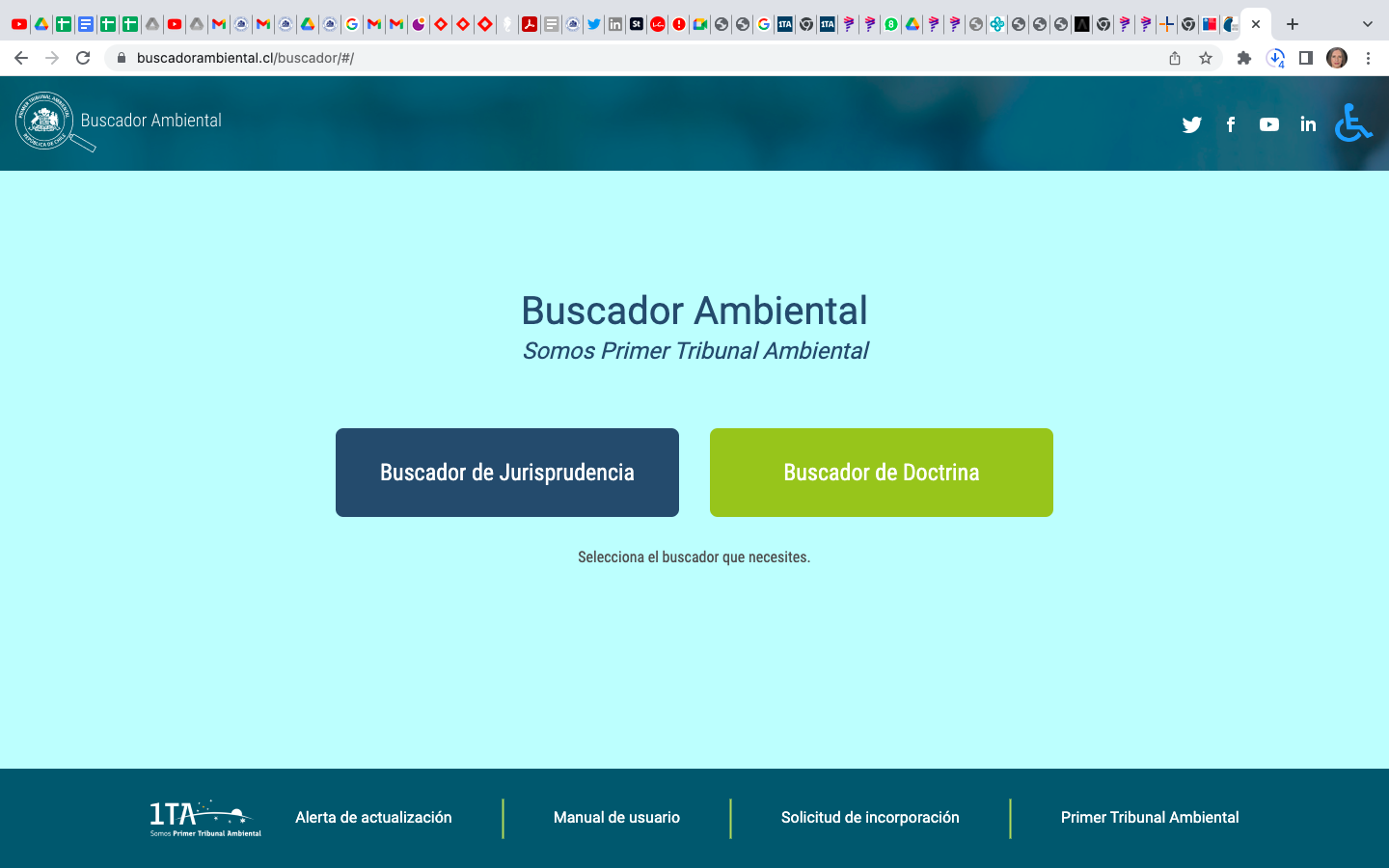 Primer Buscador Ambiental de Chile obtiene más de mil visitas en su lanzamiento