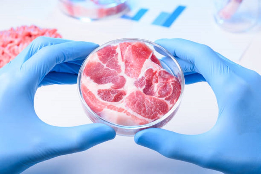  Carne de laboratorio: ¿nuevo alimento de nuestra mesa?