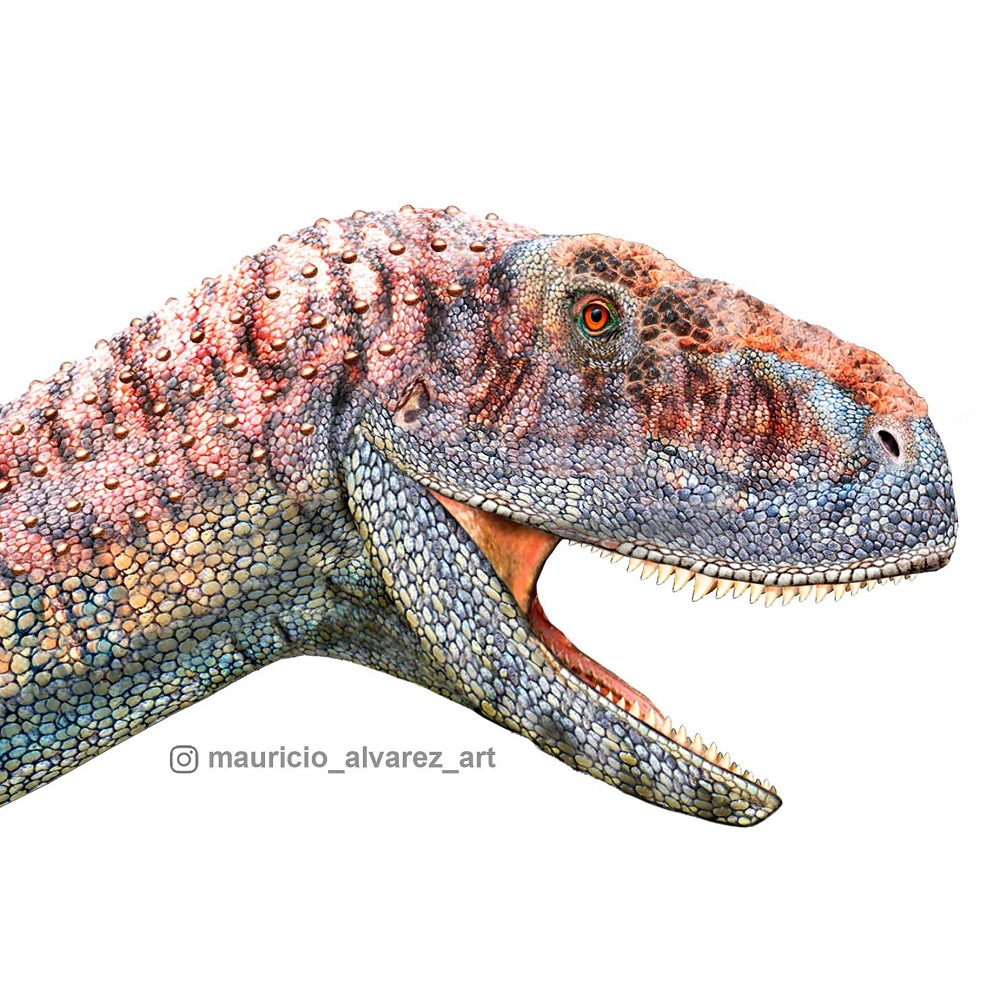 Identifican a dinosaurio carnívoro de brazos muy cortos que vivió hace más de 92 millones de años en Coquimbo