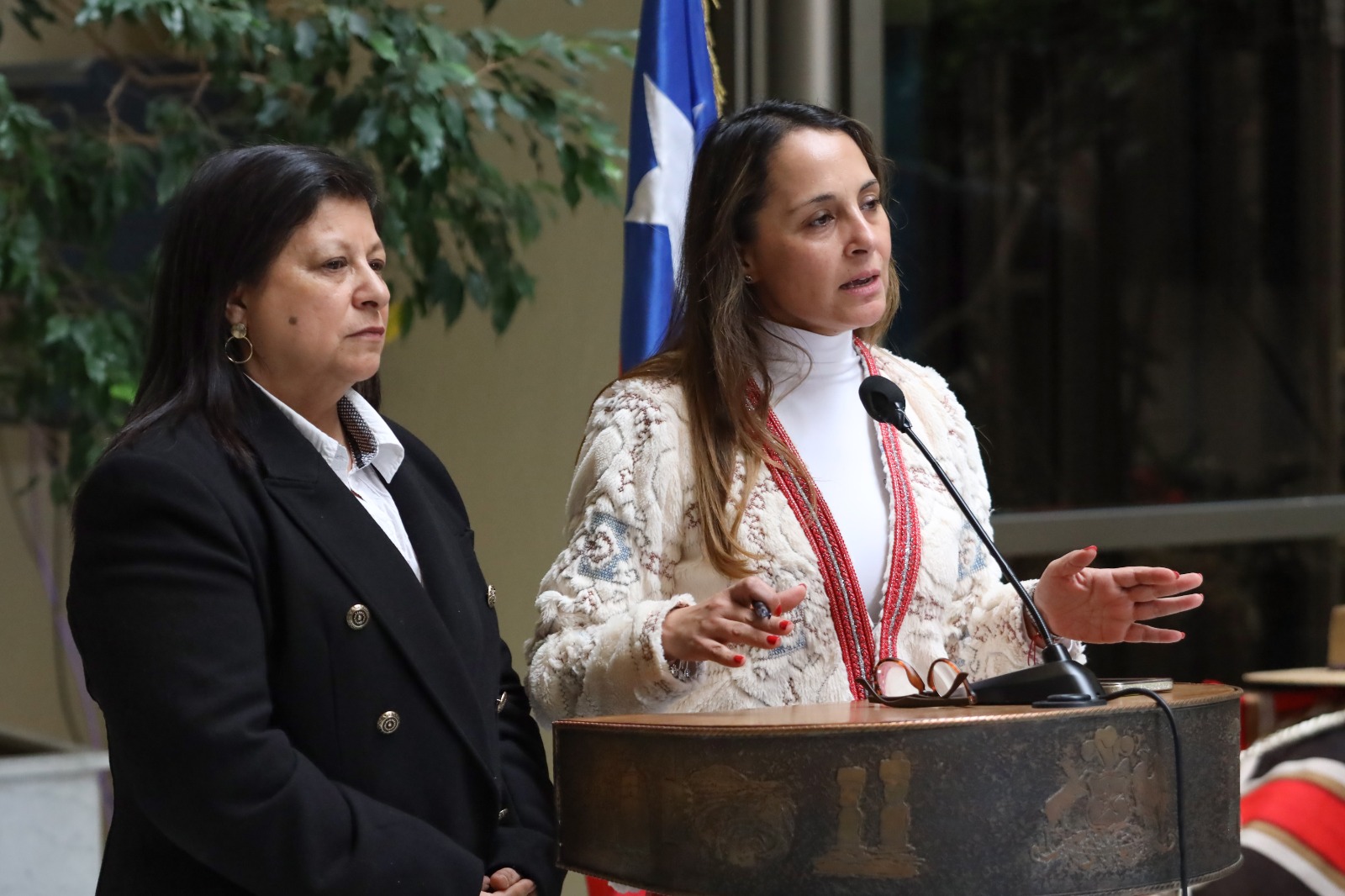 Diputada Carla Morales solicita a la Subsecretaría de la Niñez información por alza de casos e impunidad en delitos de explotación sexual infantil